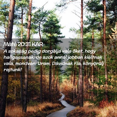 Picture 02 - Máté 20:31 KAR - A sokaság pedig dorgálja vala õket, hogy - Bible Verse Picture