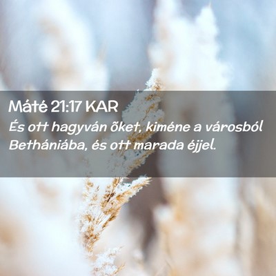 Picture 02 - Máté 21:17 KAR - És ott hagyván õket, kiméne a városból - Bible Verse Picture