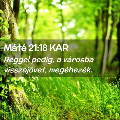 Picture 02 - Máté 21:18 KAR - Reggel pedig, a városba visszajövet, - Bible Verse Picture