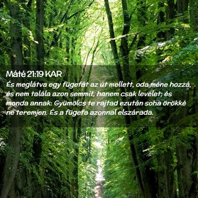 Picture 02 - Máté 21:19 KAR - És meglátva egy fügefát az út mellett, oda - Bible Verse Picture