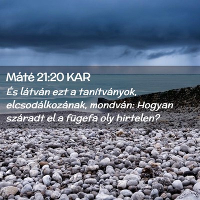 Picture 02 - Máté 21:20 KAR - És látván ezt a tanítványok, - Bible Verse Picture