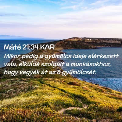 Picture 02 - Máté 21:34 KAR - Mikor pedig a gyümölcs ideje elérkezett vala, - Bible Verse Picture