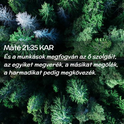 Picture 02 - Máté 21:35 KAR - És a munkások megfogván az õ szolgáit, az - Bible Verse Picture