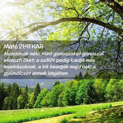 Picture 02 - Máté 21:41 KAR - Mondának néki: Mint gonoszokat gonoszul - Bible Verse Picture