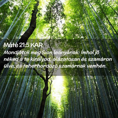 Picture 02 - Máté 21:5 KAR - Mondjátok meg Sion leányának: Ímhol jõ - Bible Verse Picture