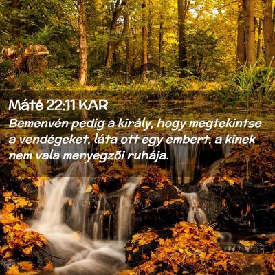 Picture 02 - Máté 22:11 KAR - Bemenvén pedig a király, hogy megtekintse a - Bible Verse Picture