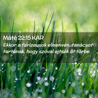 Picture 02 - Máté 22:15 KAR - Ekkor a farizeusok elmenvén, tanácsot - Bible Verse Picture