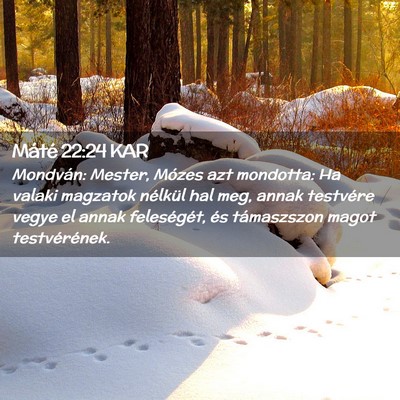 Picture 02 - Máté 22:24 KAR - Mondván: Mester, Mózes azt mondotta: Ha valaki - Bible Verse Picture