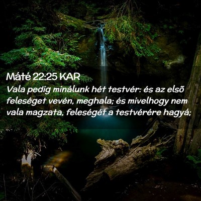 Picture 02 - Máté 22:25 KAR - Vala pedig minálunk hét testvér: és az elsõ - Bible Verse Picture
