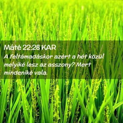 Picture 02 - Máté 22:28 KAR - A feltámadáskor azért a hét közül melyiké - Bible Verse Picture