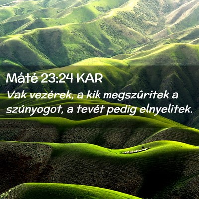 Picture 02 - Máté 23:24 KAR - Vak vezérek, a kik megszûritek a szúnyogot, a - Bible Verse Picture
