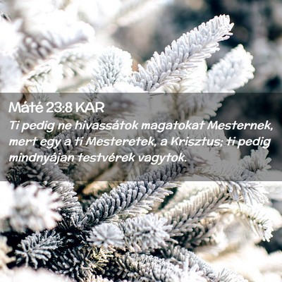Picture 02 - Máté 23:8 KAR - Ti pedig ne hivassátok magatokat Mesternek, mert - Bible Verse Picture