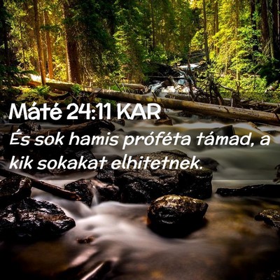 Picture 02 - Máté 24:11 KAR - És sok hamis próféta támad, a kik sokakat - Bible Verse Picture