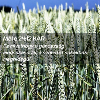 Picture 02 - Máté 24:12 KAR - És mivelhogy a gonoszság megsokasodik, a - Bible Verse Picture