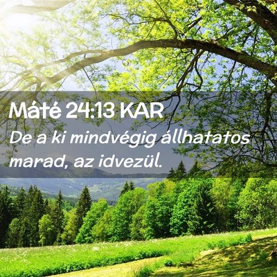 Picture 02 - Máté 24:13 KAR - De a ki mindvégig állhatatos marad, az - Bible Verse Picture
