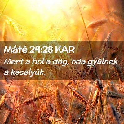 Picture 02 - Máté 24:28 KAR - Mert a hol a dög, oda gyûlnek a - Bible Verse Picture