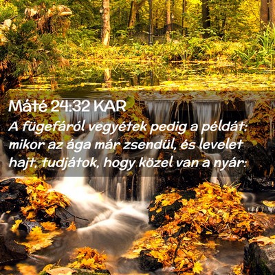 Picture 02 - Máté 24:32 KAR - A fügefáról vegyétek pedig a példát: mikor - Bible Verse Picture