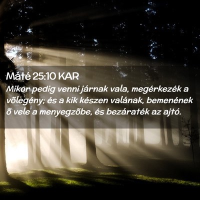 Picture 02 - Máté 25:10 KAR - Mikor pedig venni járnak vala, megérkezék a - Bible Verse Picture