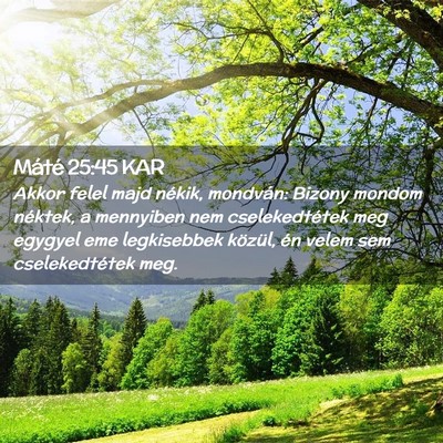 Picture 02 - Máté 25:45 KAR - Akkor felel majd nékik, mondván: Bizony mondom - Bible Verse Picture