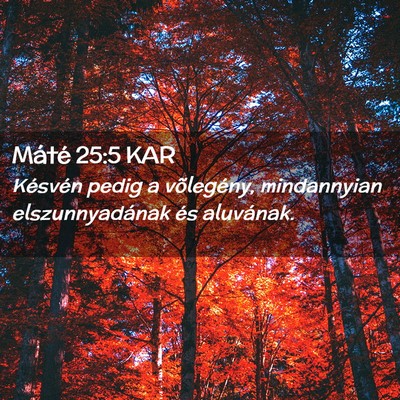 Picture 02 - Máté 25:5 KAR - Késvén pedig a võlegény, mindannyian - Bible Verse Picture