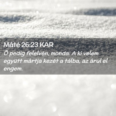 Picture 02 - Máté 26:23 KAR - Õ pedig felelvén, monda: A ki velem együtt - Bible Verse Picture