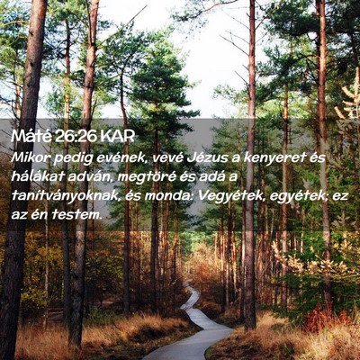 Picture 02 - Máté 26:26 KAR - Mikor pedig evének, vevé Jézus a kenyeret és - Bible Verse Picture