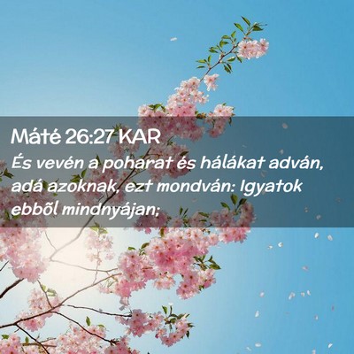 Picture 02 - Máté 26:27 KAR - És vevén a poharat és hálákat adván, adá - Bible Verse Picture
