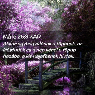 Picture 02 - Máté 26:3 KAR - Akkor egybegyûlének a fõpapok, az írástudók - Bible Verse Picture