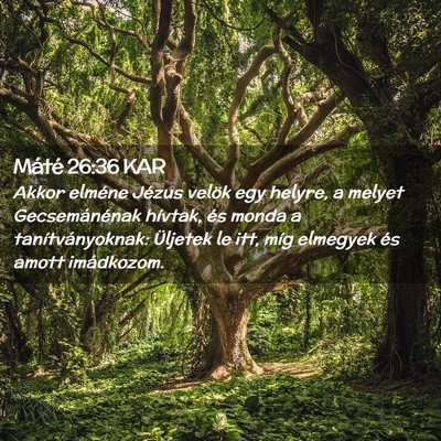 Picture 02 - Máté 26:36 KAR - Akkor elméne Jézus velök egy helyre, a melyet - Bible Verse Picture