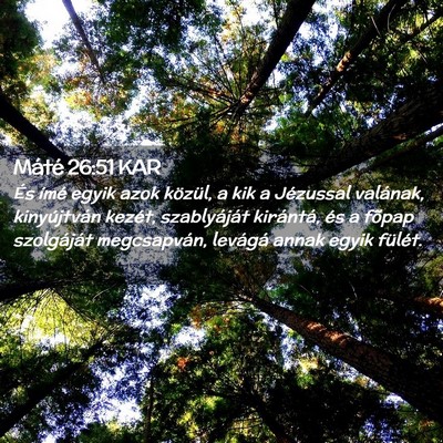 Picture 02 - Máté 26:51 KAR - És ímé egyik azok közül, a kik a Jézussal - Bible Verse Picture