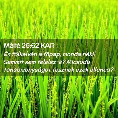 Picture 02 - Máté 26:62 KAR - És fölkelvén a fõpap, monda néki: Semmit sem - Bible Verse Picture