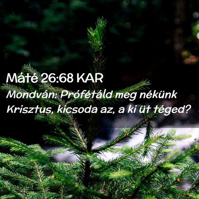 Picture 02 - Máté 26:68 KAR - Mondván: Prófétáld meg nékünk Krisztus, - Bible Verse Picture