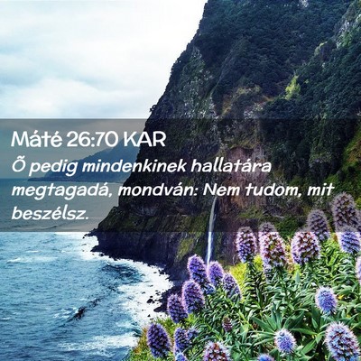 Picture 02 - Máté 26:70 KAR - Õ pedig mindenkinek hallatára megtagadá, - Bible Verse Picture