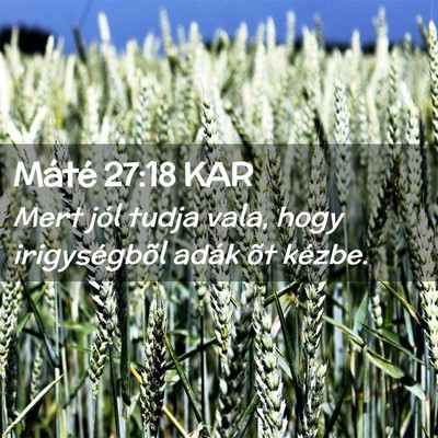 Picture 02 - Máté 27:18 KAR - Mert jól tudja vala, hogy irigységbõl adák - Bible Verse Picture