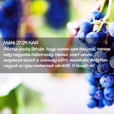 Picture 02 - Máté 27:24 KAR - Pilátus pedig látván, hogy semmi sem használ, - Bible Verse Picture