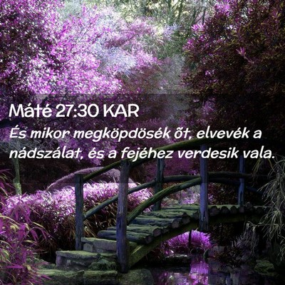 Picture 02 - Máté 27:30 KAR - És mikor megköpdösék õt, elvevék a - Bible Verse Picture