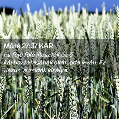Picture 02 - Máté 27:37 KAR - És feje fölé illeszték az õ - Bible Verse Picture