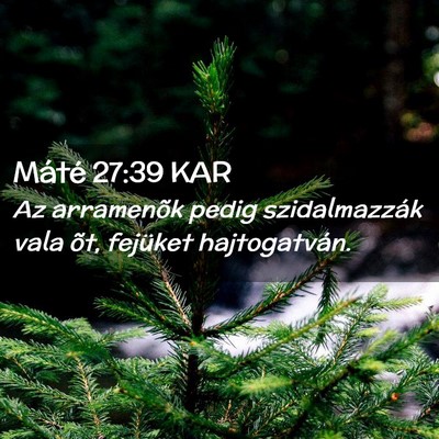Picture 02 - Máté 27:39 KAR - Az arramenõk pedig szidalmazzák vala õt, - Bible Verse Picture