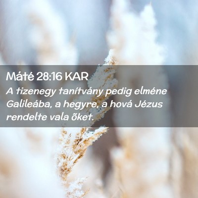 Picture 02 - Máté 28:16 KAR - A tizenegy tanítvány pedig elméne Galileába, - Bible Verse Picture