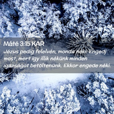 Picture 02 - Máté 3:15 KAR - Jézus pedig felelvén, monda néki: Engedj most, - Bible Verse Picture