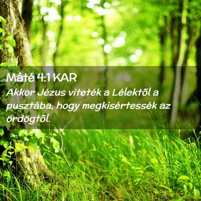 Picture 02 - Máté 4:1 KAR - Akkor Jézus viteték a Lélektõl a pusztába, - Bible Verse Picture