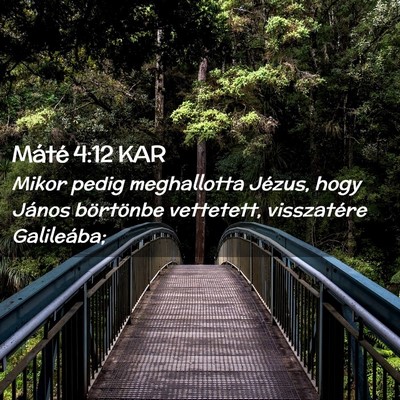 Picture 02 - Máté 4:12 KAR - Mikor pedig meghallotta Jézus, hogy János - Bible Verse Picture
