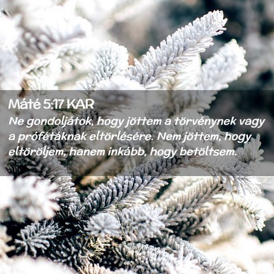 Picture 02 - Máté 5:17 KAR - Ne gondoljátok, hogy jöttem a törvénynek vagy - Bible Verse Picture