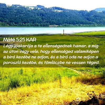 Picture 02 - Máté 5:25 KAR - Légy jóakarója a te ellenségednek hamar, a - Bible Verse Picture