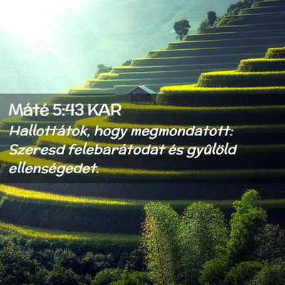 Picture 02 - Máté 5:43 KAR - Hallottátok, hogy megmondatott: Szeresd - Bible Verse Picture
