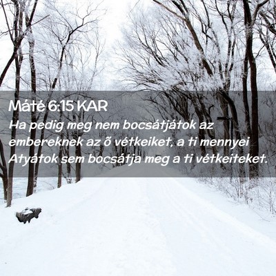 Picture 02 - Máté 6:15 KAR - Ha pedig meg nem bocsátjátok az embereknek az - Bible Verse Picture