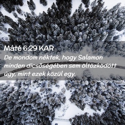Picture 02 - Máté 6:29 KAR - De mondom néktek, hogy Salamon minden - Bible Verse Picture
