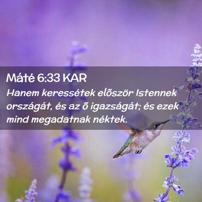 Picture 02 - Máté 6:33 KAR - Hanem keressétek elõször Istennek országát, - Bible Verse Picture