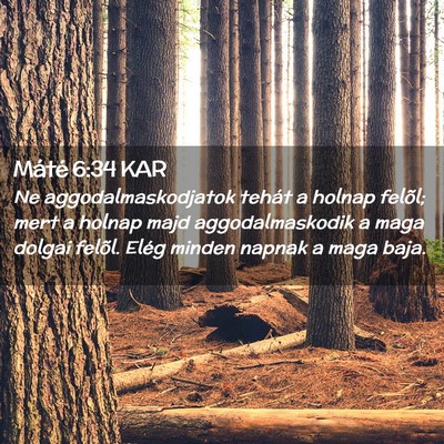 Picture 02 - Máté 6:34 KAR - Ne aggodalmaskodjatok tehát a holnap felõl; - Bible Verse Picture