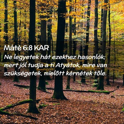 Picture 02 - Máté 6:8 KAR - Ne legyetek hát ezekhez hasonlók; mert jól - Bible Verse Picture